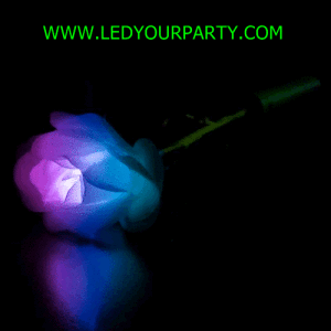 Multicolor-Light-Up-Rose-White-Petals